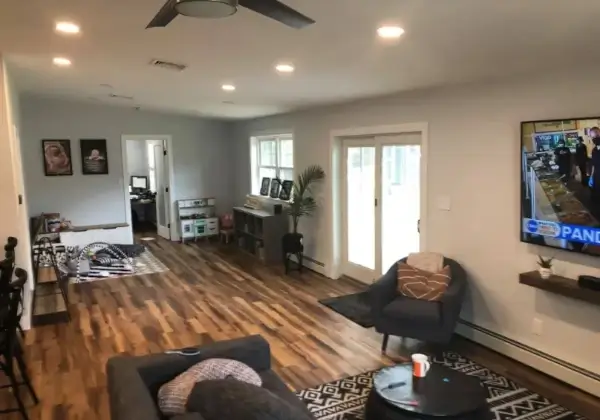 Modern living room with hardwood floors and TV